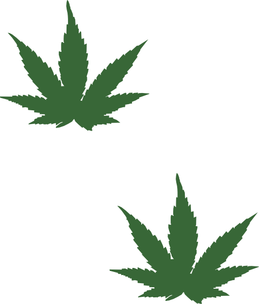 Small Weed Plant Drawing (510x598)
