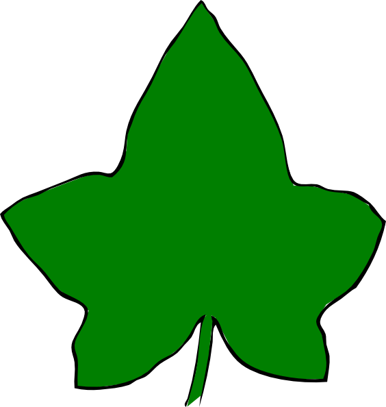 Ivy Leaf Aka Transparent (564x594)