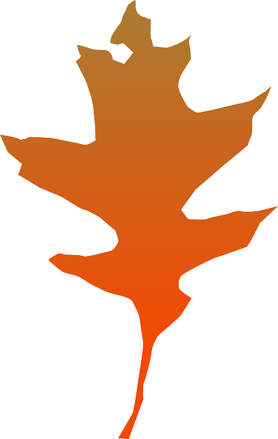 Leaf Oak Clip Art - ใบ โอ๊ ค (406x640)