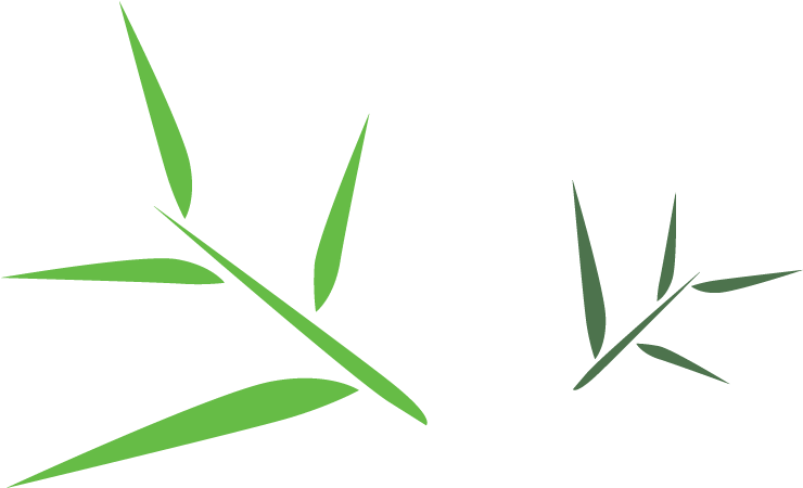 Bamboo Leaf Png (955x500)