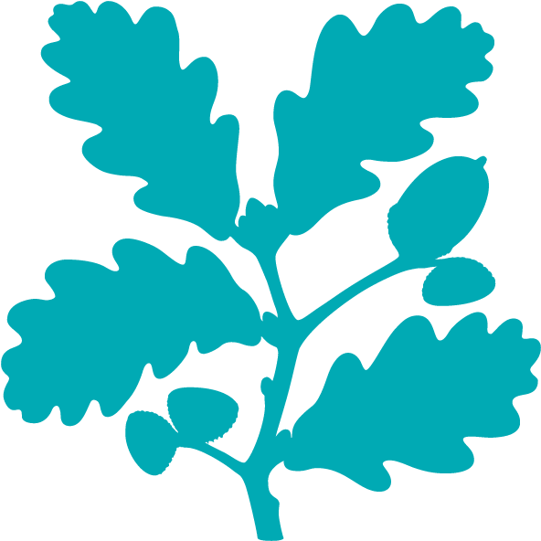 Nt Sw Cornwall - Different Charities In The Uk (600x600)