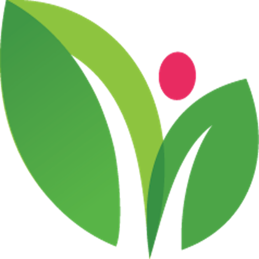 Graphic Design (512x512)