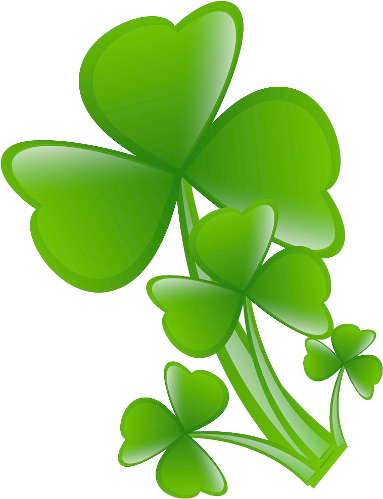White Clover Four-leaf Clover - Clover (1024x1097)