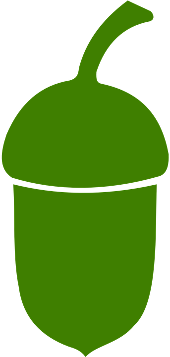 Challenging Behaviour Acorn Drawing Of A Green Acorn - Acorn Clip Art (360x720)