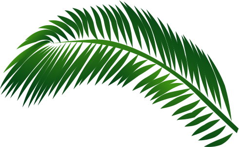 Decorative Leaf - Leaf (491x303)