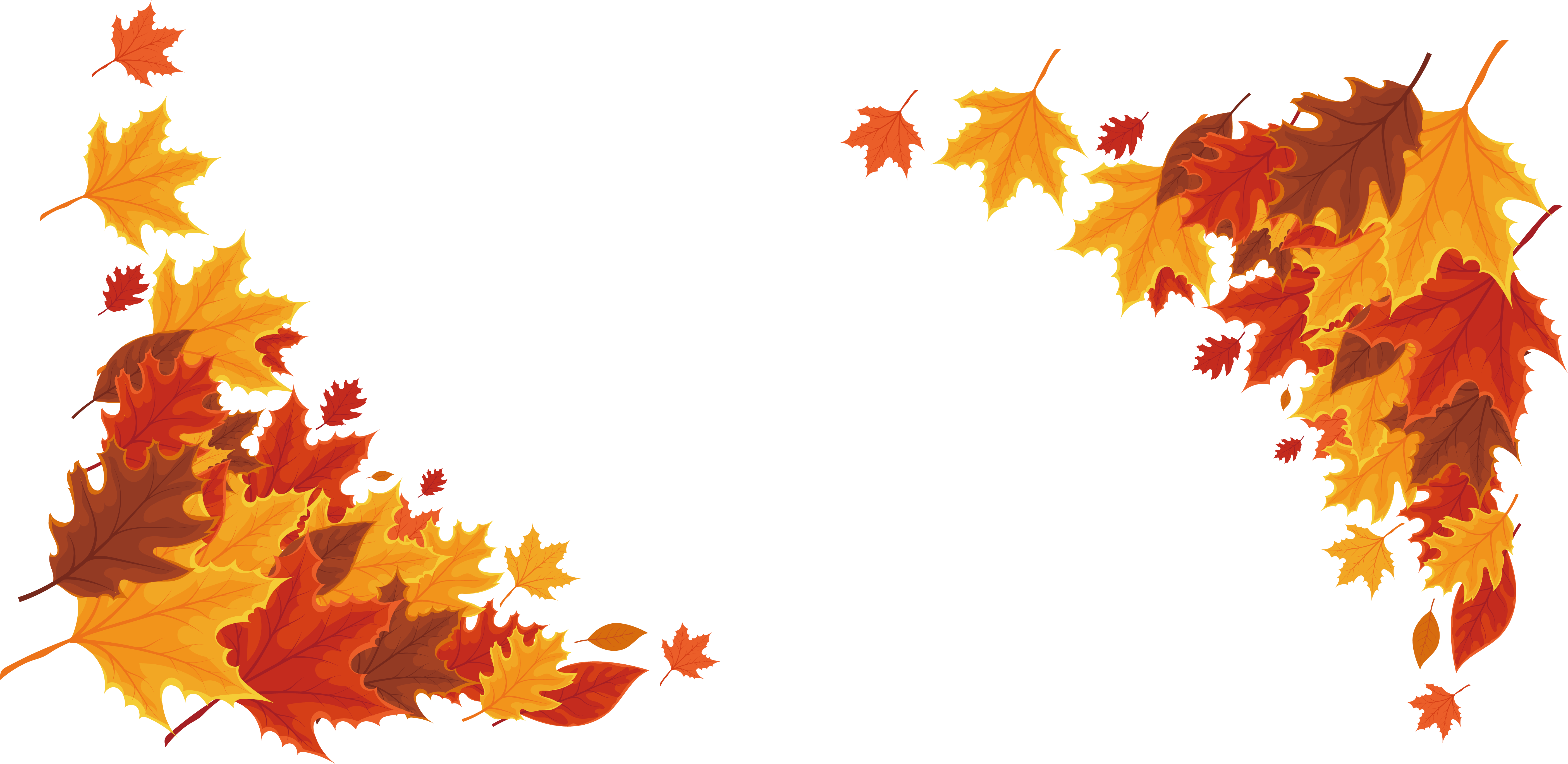 Red Maple Maple Leaf - Maple Leaf Border (5616x2738)