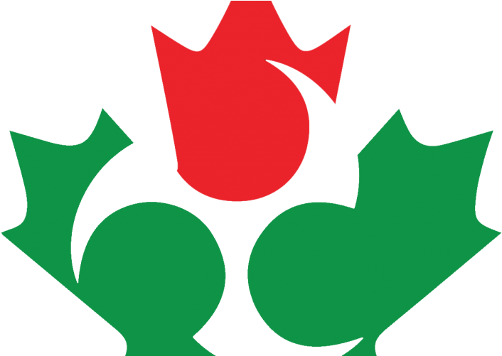 Ct Just Maple Leaf Transparent Background - Canada (750x500)