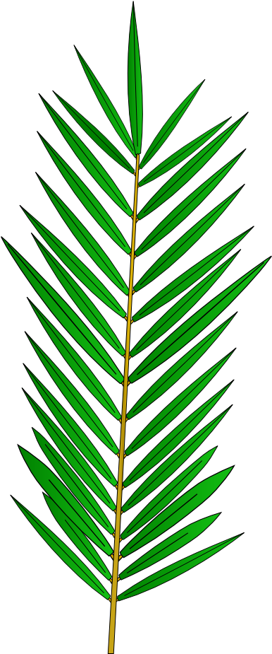 Palm Tree Leaf Template - Palm Tree Leaf Template (395x934)