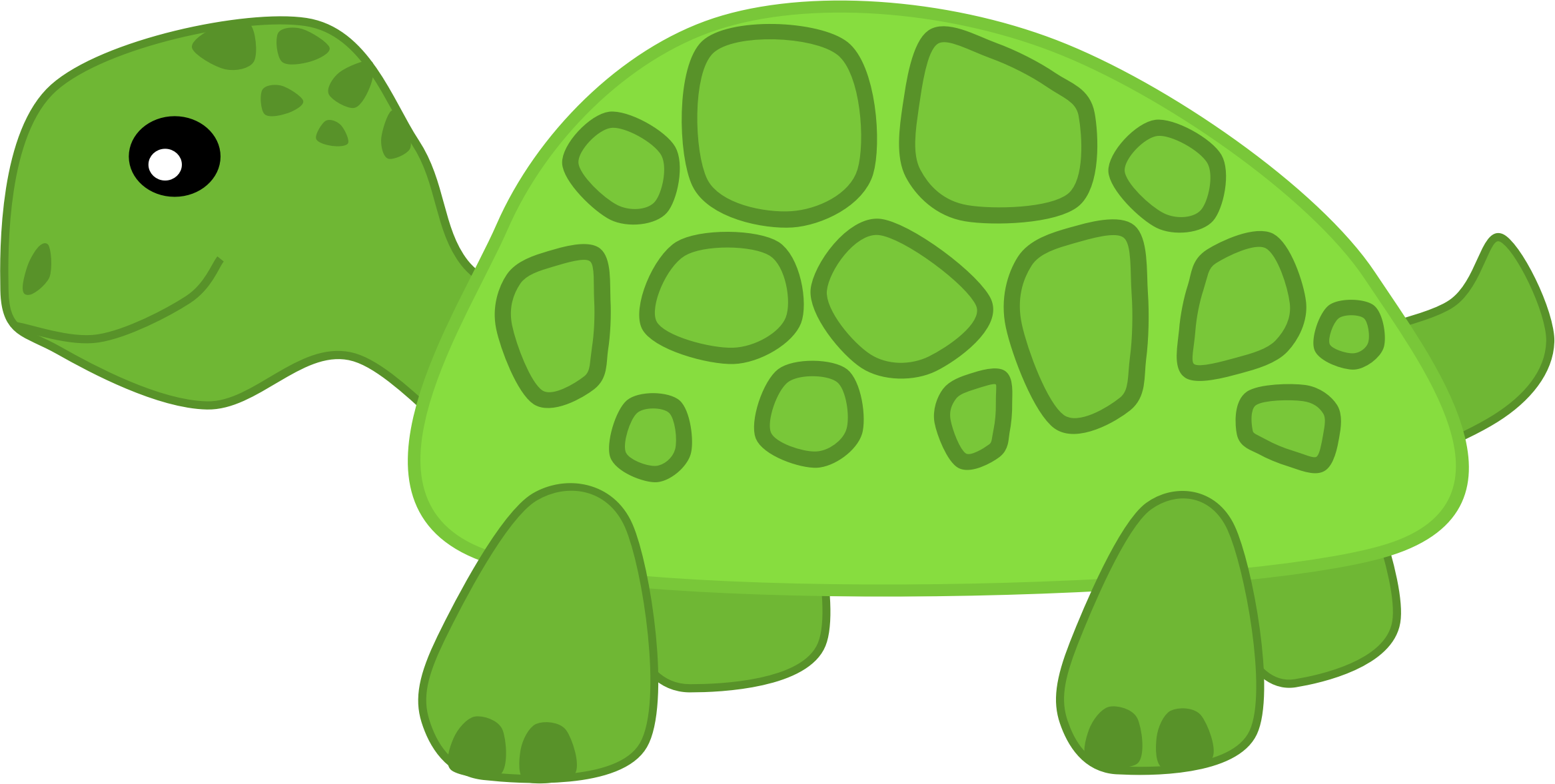 Turtle Cartoon Png (2334x1177)