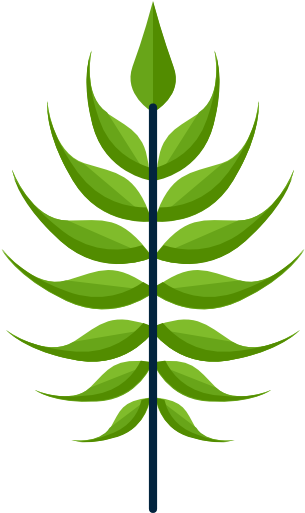 Icon (512x512)