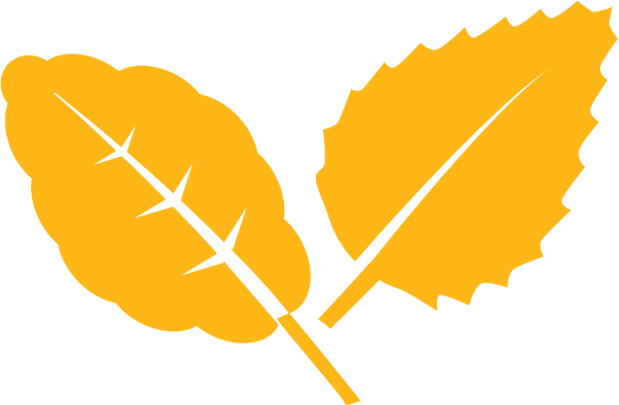 Farm-fresh - Leaf (619x405)