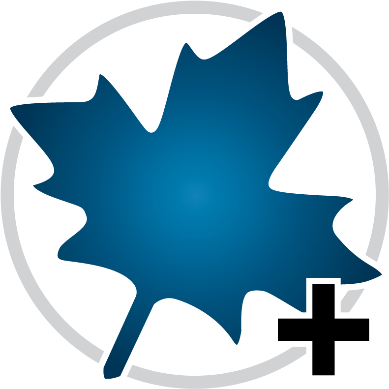 Maplesim - Maple Computer Program (800x800)