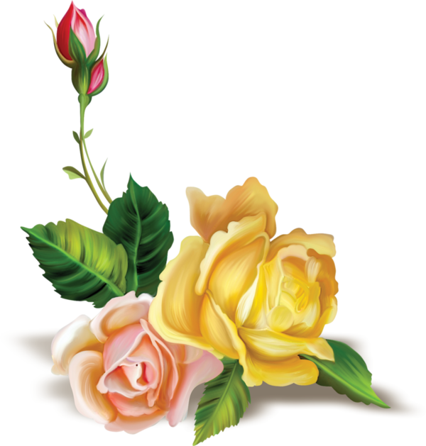 Flower (600x629)