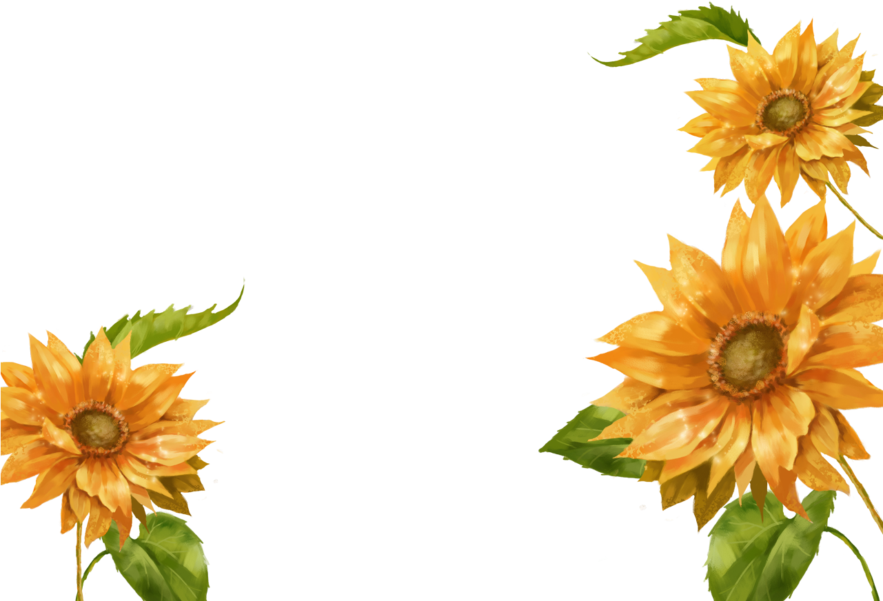 Common Sunflower Software - Common Sunflower Software (1280x960)