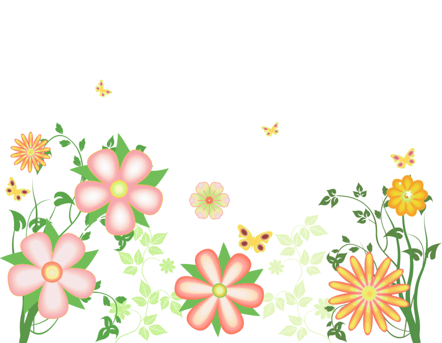 Decorative Floral Elements Vector - زخارف Transparent (900x698)