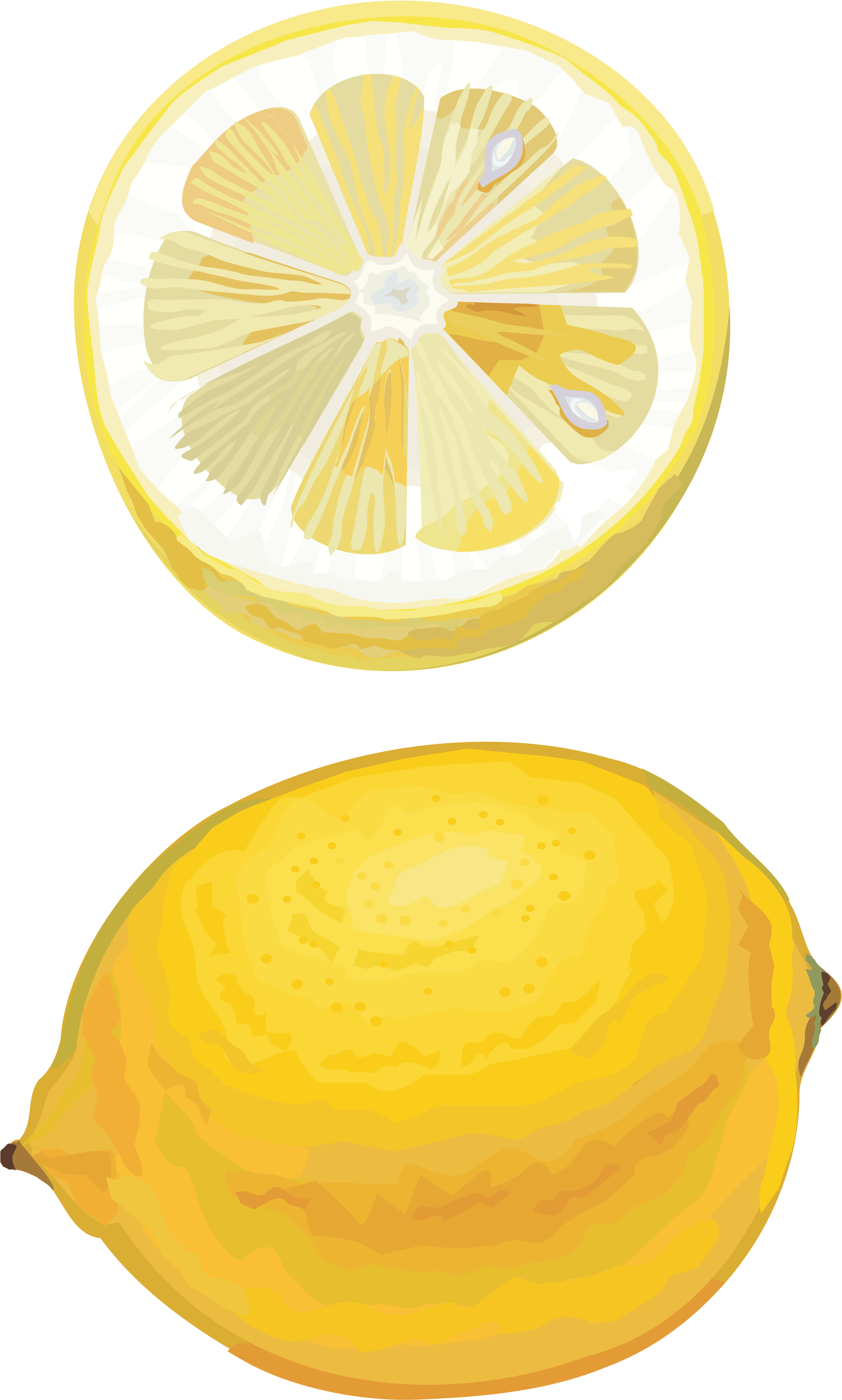 Lemon Drawing Cut - Citron (2439x4200)