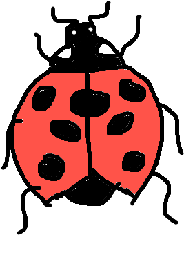Lady Bug - Doodle (300x400)