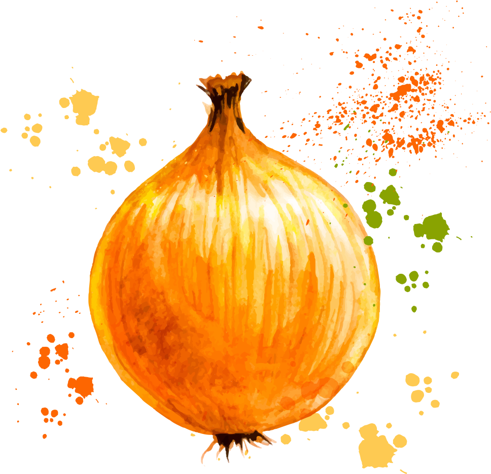 Onion Ring Vegetable Watercolor Painting - Vector Graphics (1000x1000)