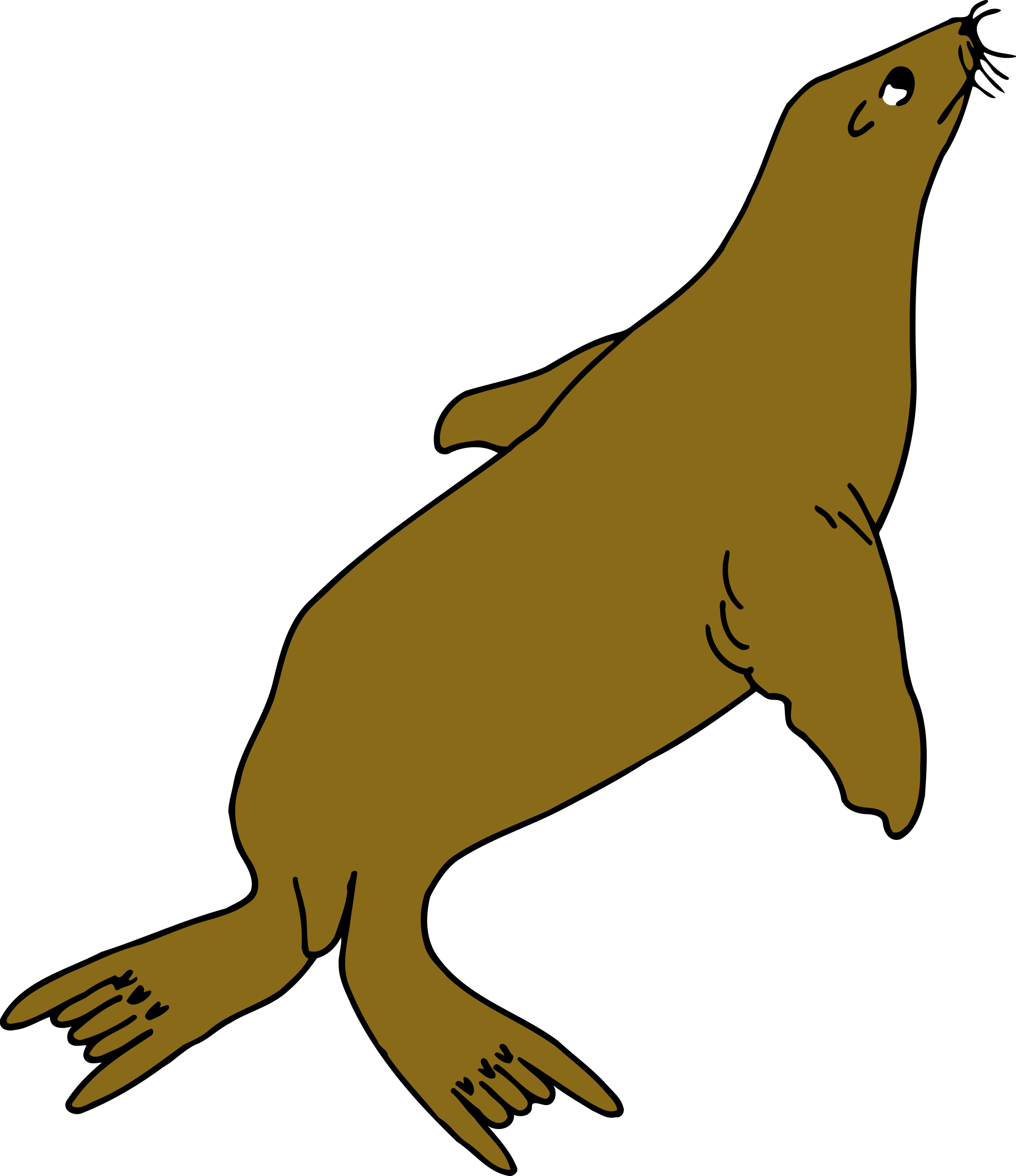 Seal Clipart Tail - Portable Network Graphics (2074x2400)
