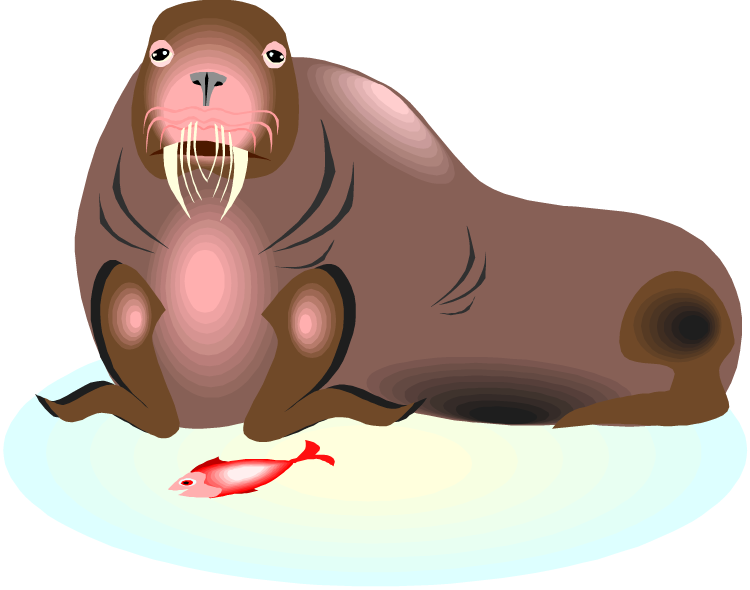 Morsa Gif (750x590)