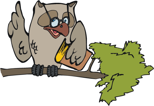 Owl With Glasses - Owl (493x338)