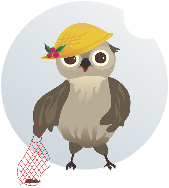 Vector, Figure, Bird, Owl, String Bag, Mouse, Cap - String Bag (771x720)