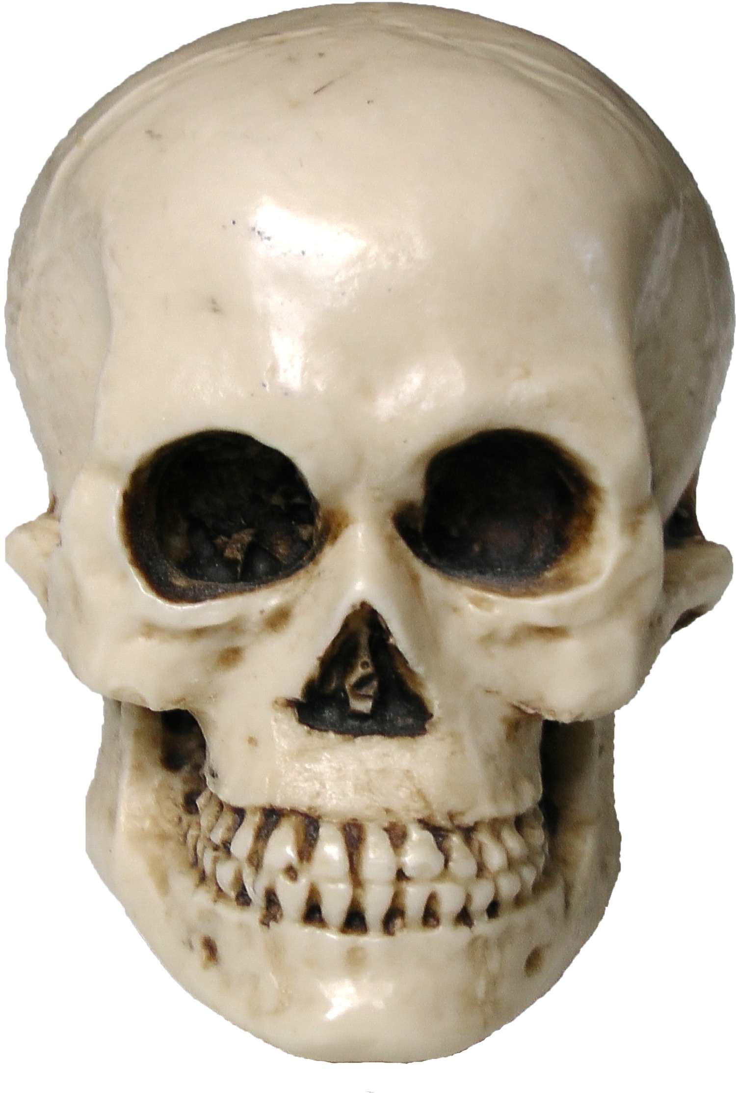 Skull (1500x2225)