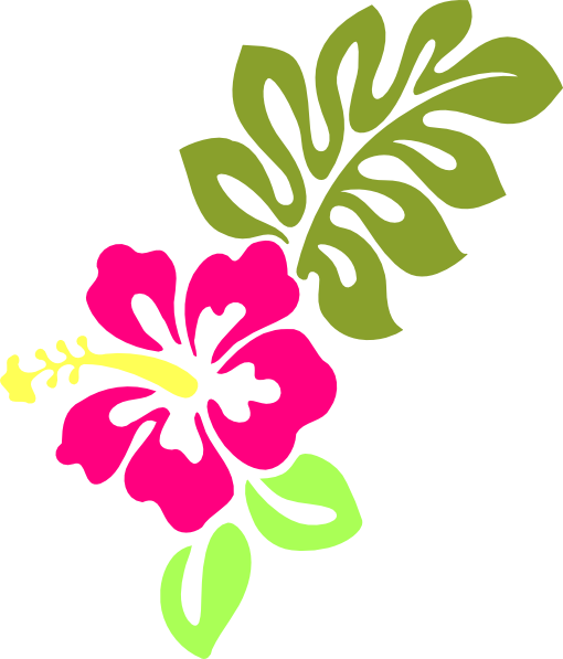 Hibiscus Clip Art (510x597)