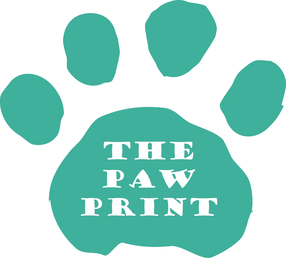 Paw (913x825)