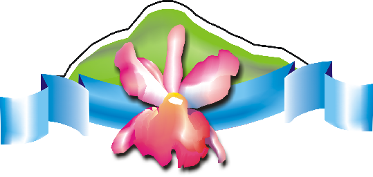No Frame - Cattleya (539x256)