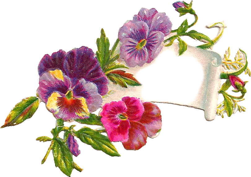 Chinese Hibiscus (939x687)