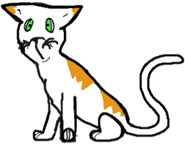 Image - Domestic Short-haired Cat (620x453)