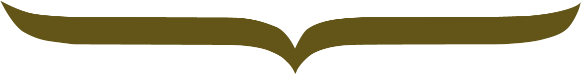Black Arrow 2 - Black Arrow 2 (1165x276)