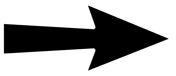 Black Arrow (600x261)