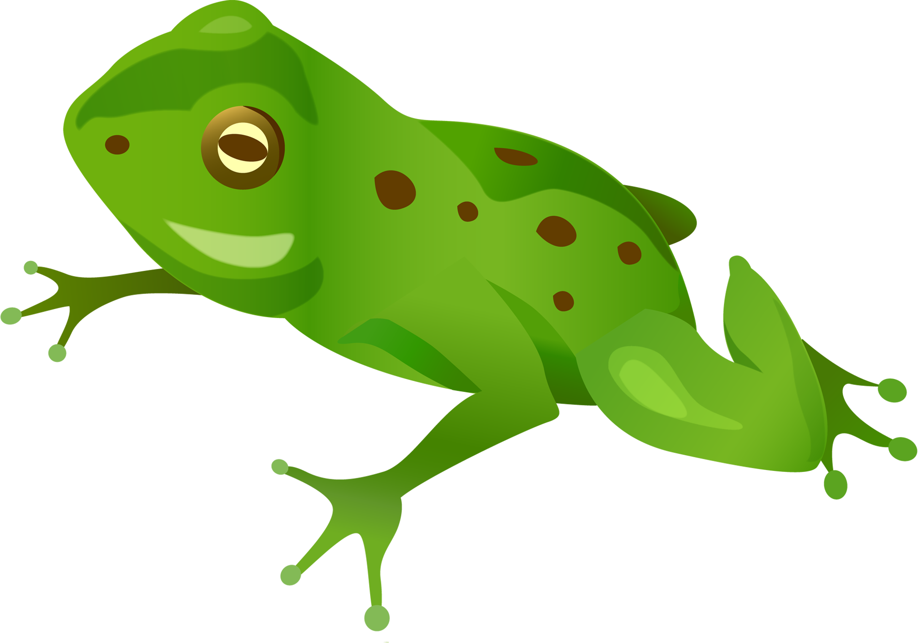 Green Frog Png - Жаба Анимация (1865x1308)