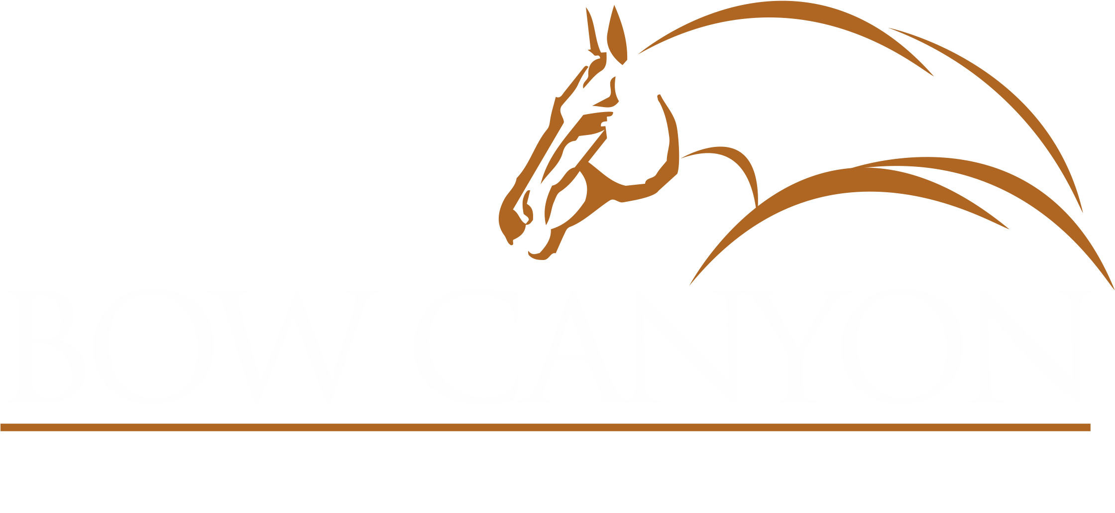 Horse (2239x1042)