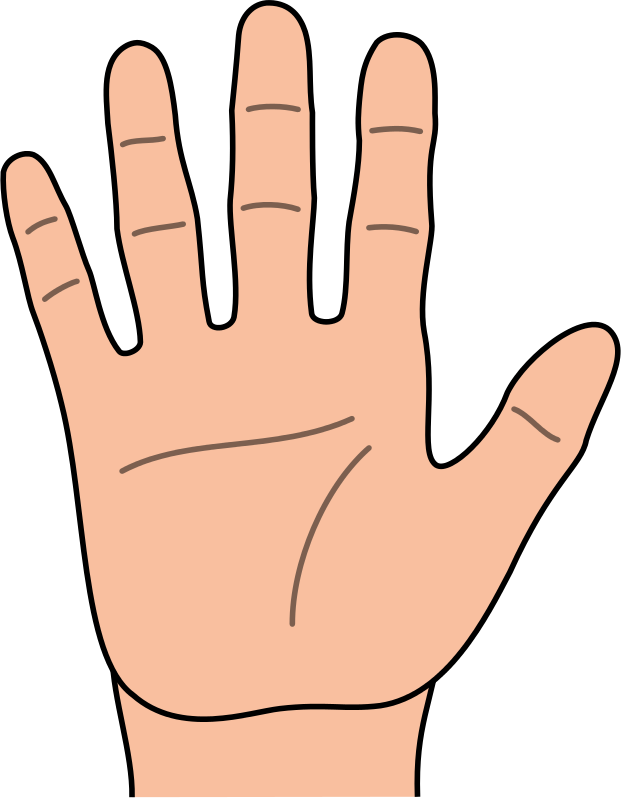 Clipart Hand - 手 卡通 圖案 (621x800)
