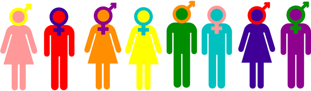 The Free Press Wv - Gender Binary (1280x640)