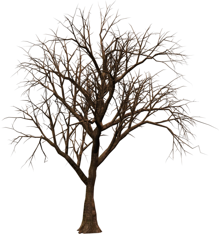 Brushes, Patterns Etc - Brown Branch Twig Tree Led Tree (1024x768)
