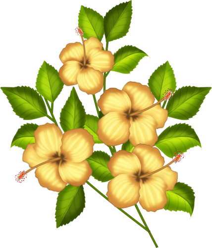 Fm Remember Element 50 - Rosemallows (428x500)
