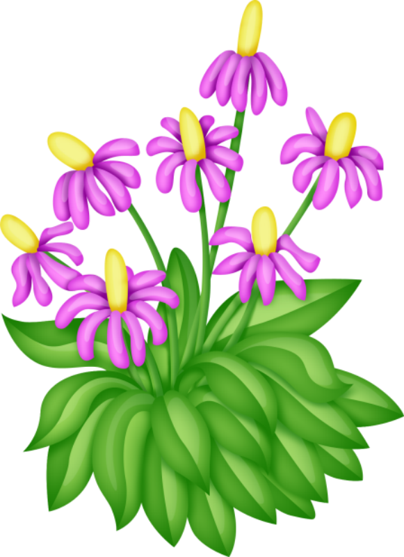 Фото, Автор Иришка-манюшка На Яндекс - Flower (581x800)