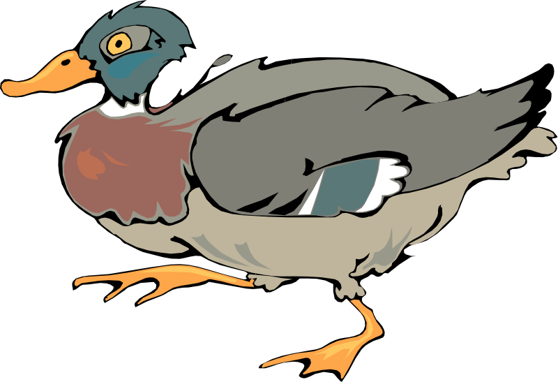 Free Vector Bird - Iron-on (800x547)