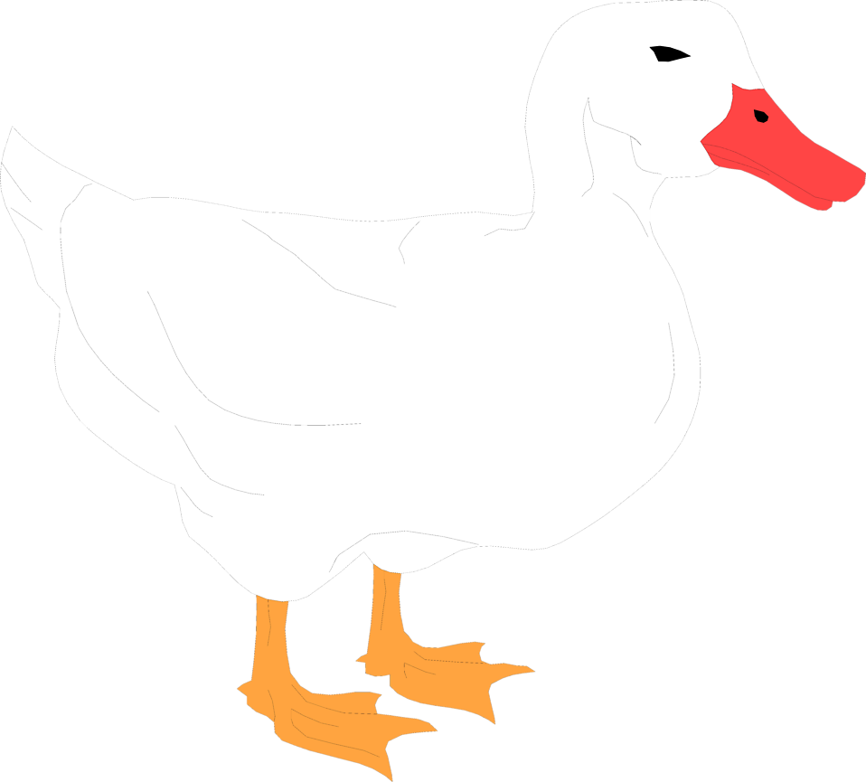 White Duck Clipart Transparent (958x865)