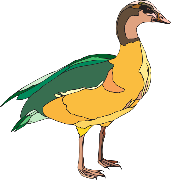 Yellow And Green Duck (564x594)
