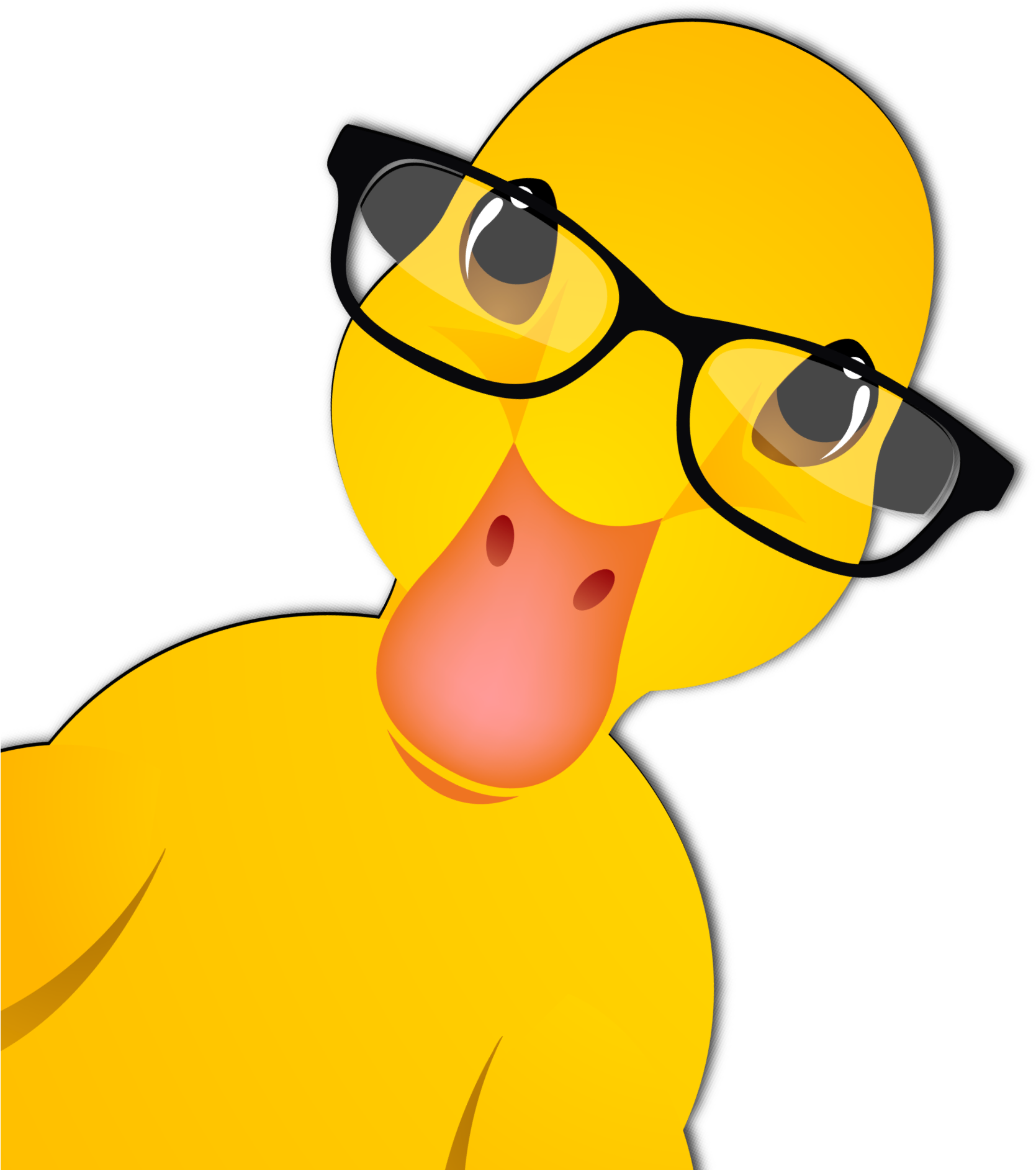 Ducks - Duck Writing (1671x1922)