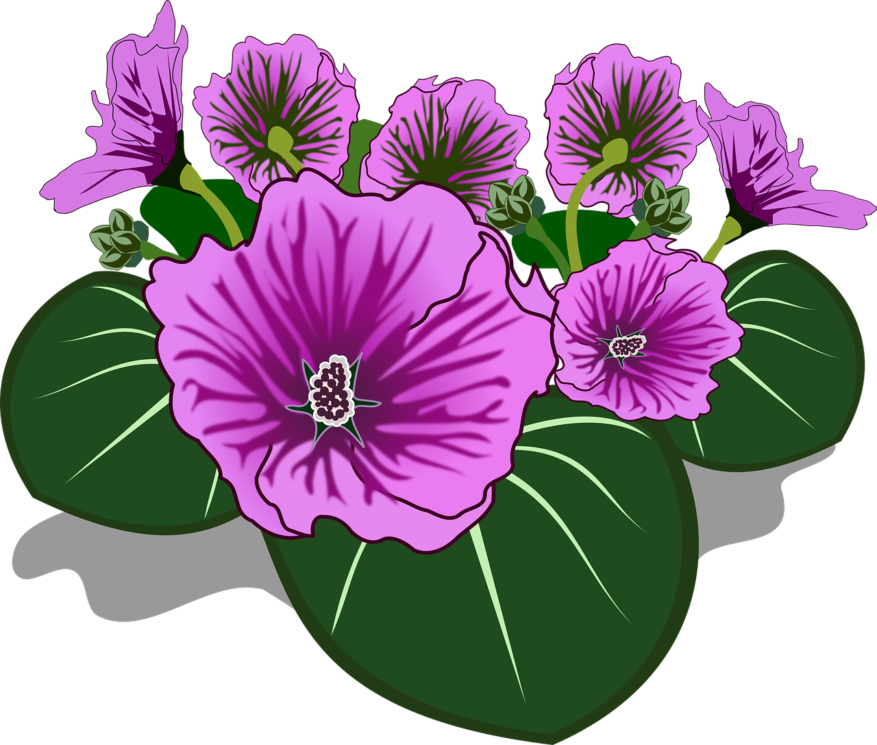 The Best - Grayscale Fun Flowers Vol. 5: Grayscale Fun Flowers (1280x1087)