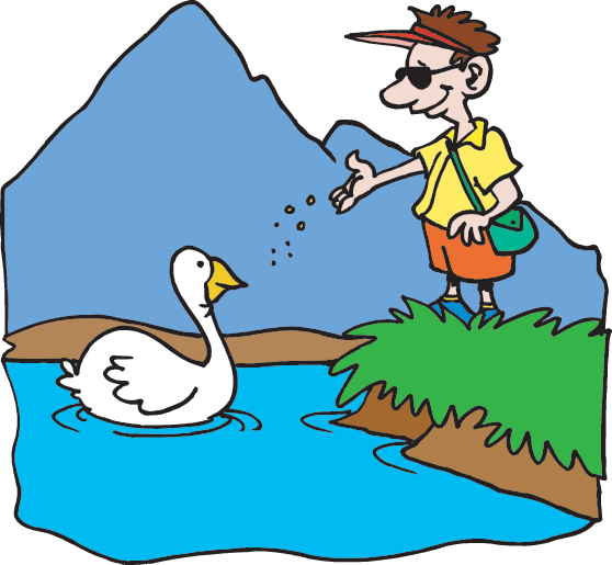 Goose - Goose (558x515)