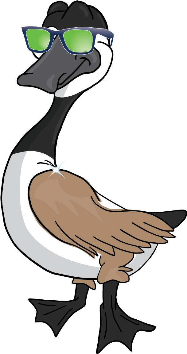 Why Ganders - Cartoon (830x1260)