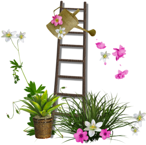 Garden - Fleur Png (498x500)