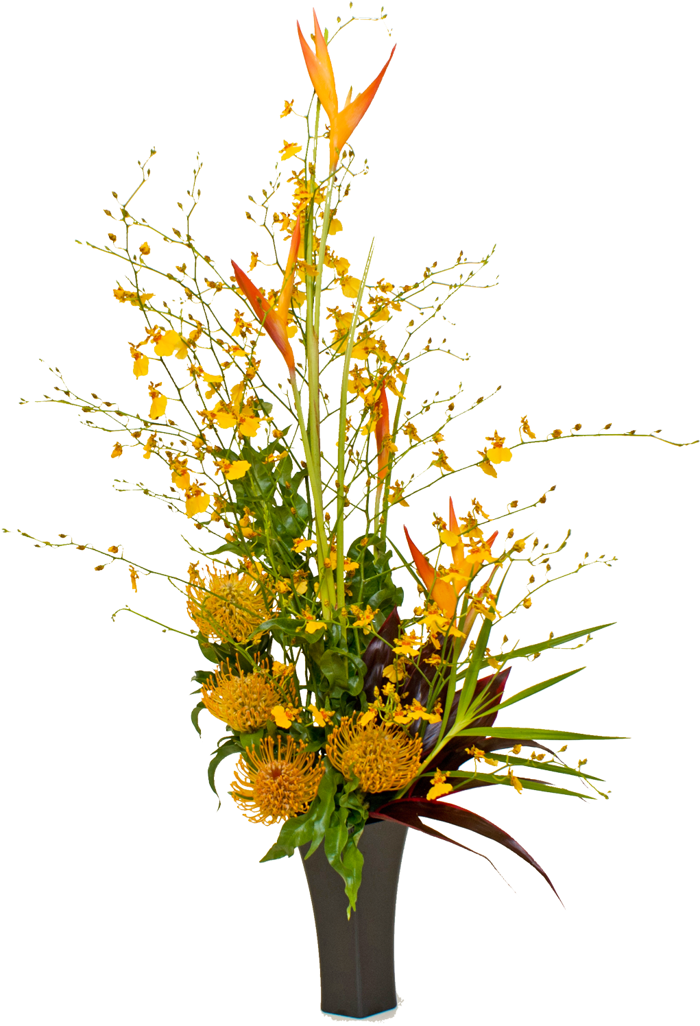 95 Previous Next - Flower (1343x1600)